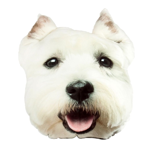 a58bf6855cf319ecb20d5d8cb9301487