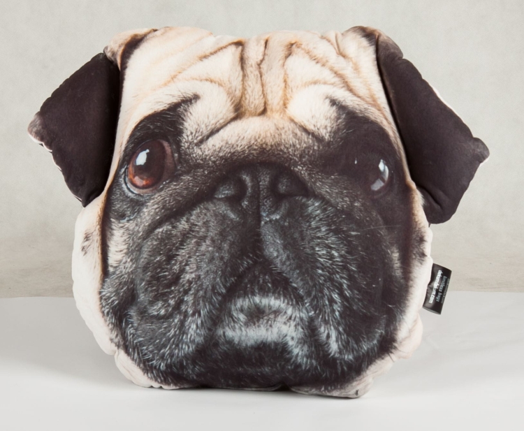 0fb75c776bce6a3083b1e9100243c182