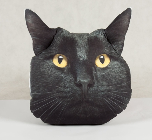 4da86d52a301a04732874fbf91d3d9b7