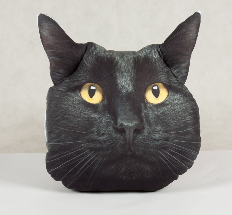 4da86d52a301a04732874fbf91d3d9b7