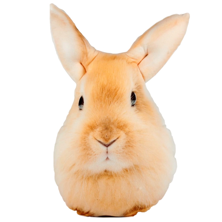 02266e4fab171ebc1b75a9a73624ac3a