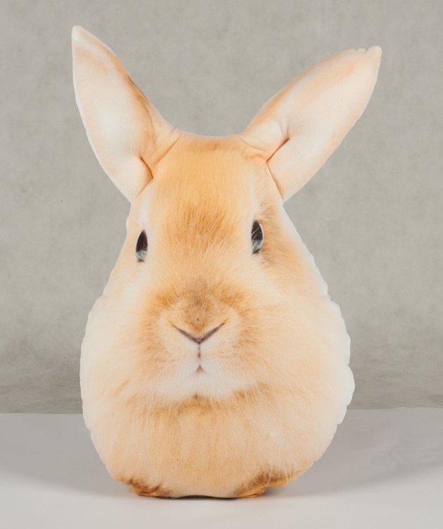 b71509e5f3a6db113c65a0efcda15e82