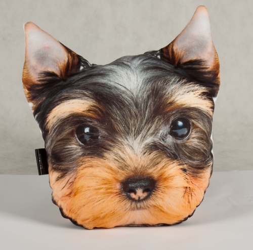 b938d78e0c3b85997384f70f96901a97