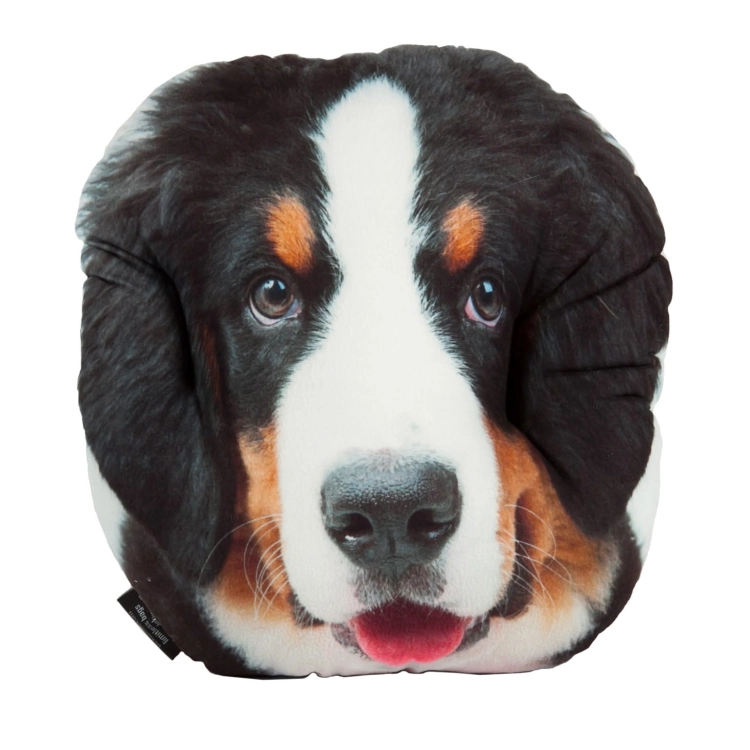 5b1364b87772c2a0be08d5e44f0b5b96