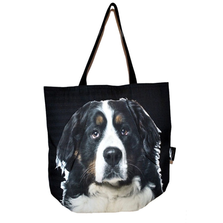 53bf75eb82d7bbd56150be648f1ca3cc