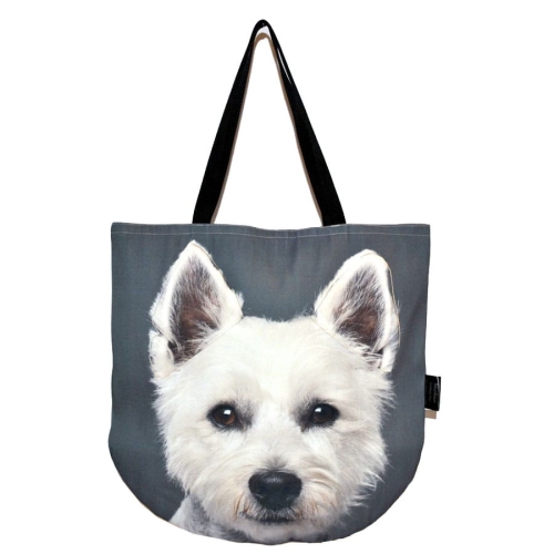 0870eef18f5df95adcca120cb1b83ee1