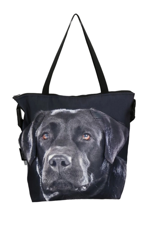 d8406a525a4d72cce8d363f2396bd245