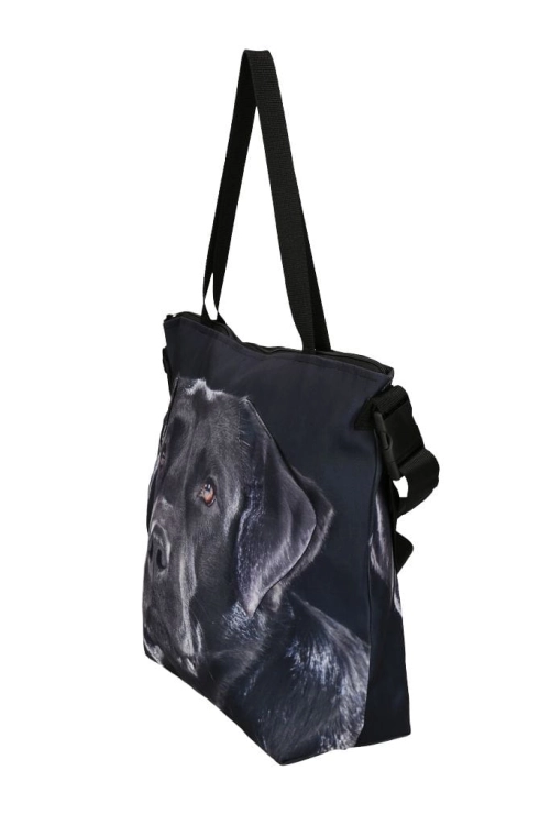 e76645adb86d463b7a151f44600d5b22