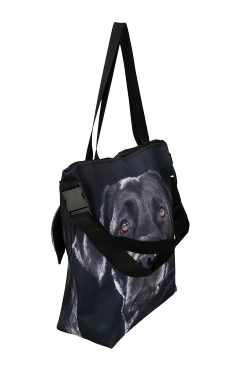 8613a9b8aa06501b7293b6829a5b1c18