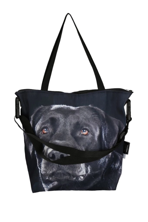 254fec97796e3d1d7f6d624a7bc8204b