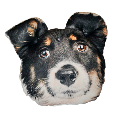 ac71a16045a1884363aa8165f129ca6f