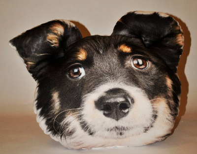 f6d6e971c127343f42443ec3a7880eb3