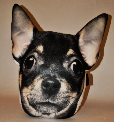 f160e9e4b75ae0e2f98513829263710d