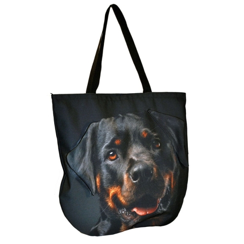 c08d7e6a4bdb688059ff39587f9d9a91