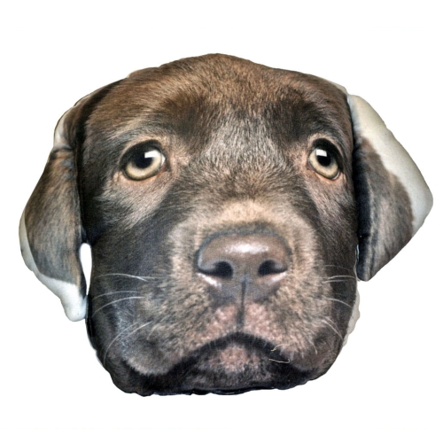 884910fec960a52ff56aefe5fb378bf6