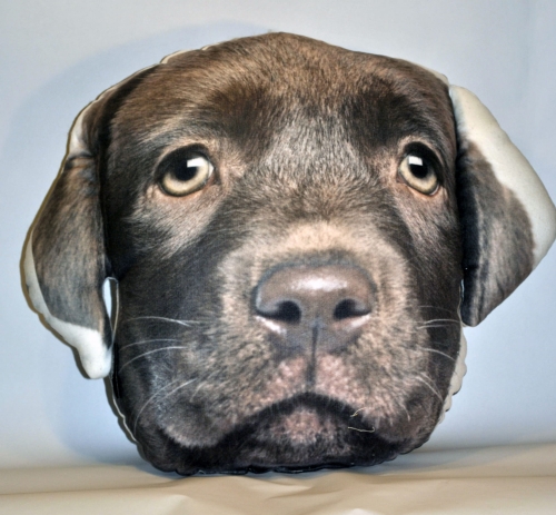 3a8c6930d19466c2887da9714d3bc685