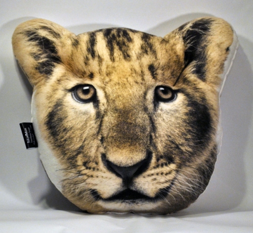 0484d04917a4445f63115ce40102d719