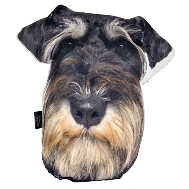 0bb49b65abbdc0b50149e58cdd27cf39