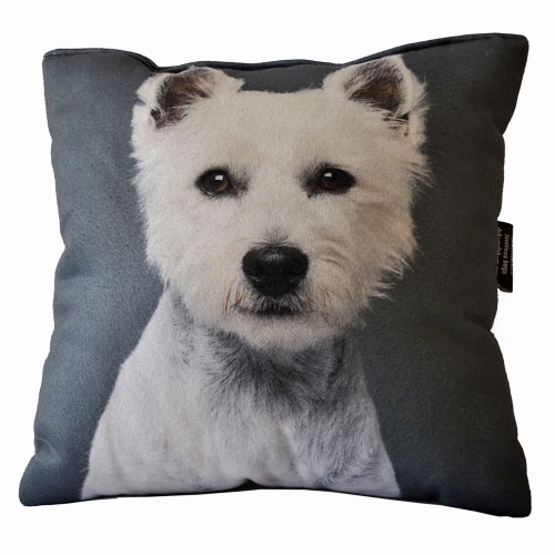 dd9d1d0ce62a200daf17c9f08427deb8