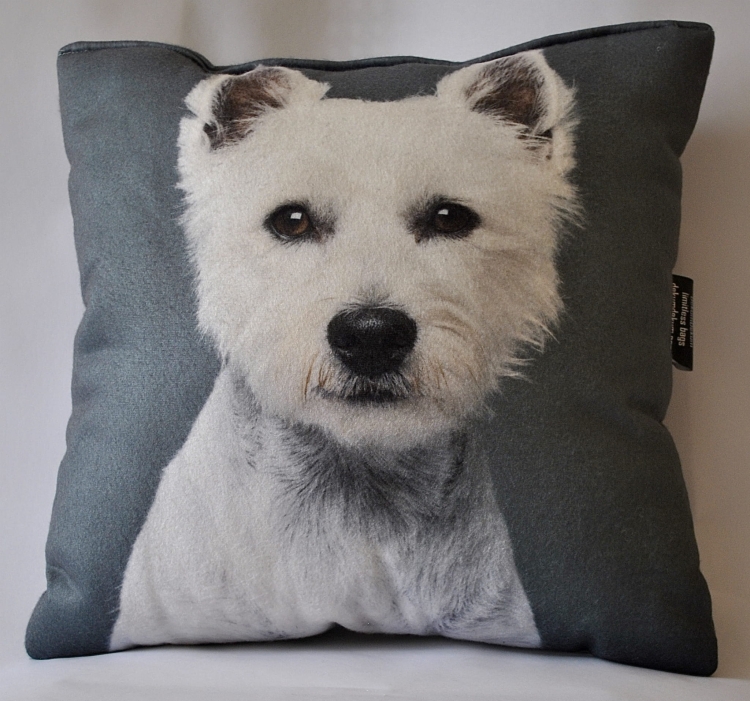 7586ab9df1e52d8cb87b5aafeb9c1562