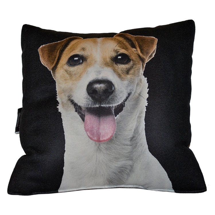 1ce8459b7f5448d18cc253e18c622883