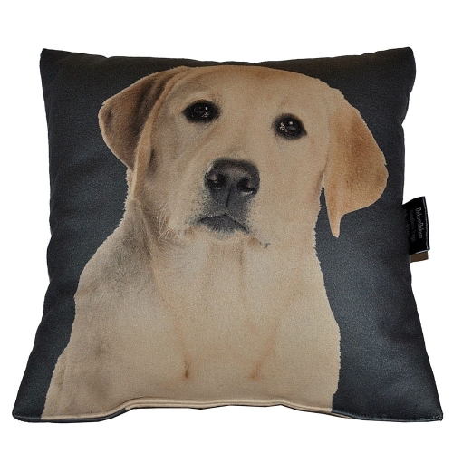 f19d7a214a4aa307481d6fadcf2465b8