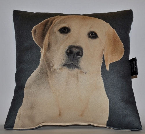 d630fb934a3d7c4e7710ca8b6a7e3d52