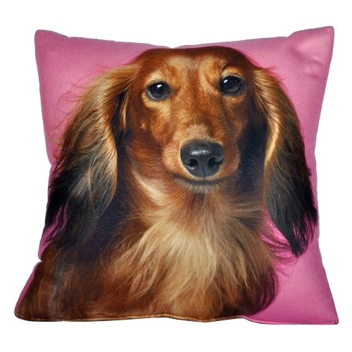 3426704e3258c90e6ac7ecffb6a03e7a