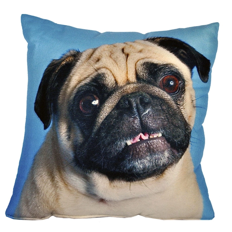 cd5482586923676169a9cfdcbd744dfb