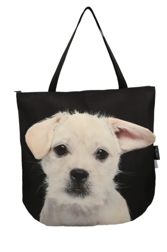 42b1153a27517b110a70e674a522e5e3