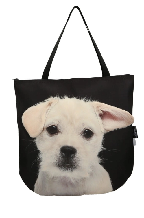 42b1153a27517b110a70e674a522e5e3