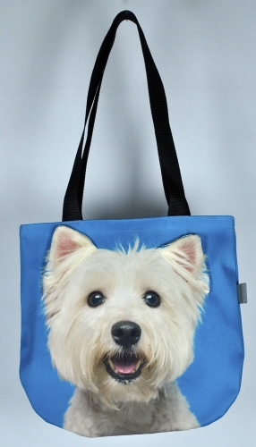 e90b576fb6450d8a914adbfab1510056