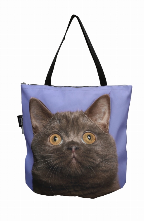 3f9835c82a6f4694adad11bca2f904ca