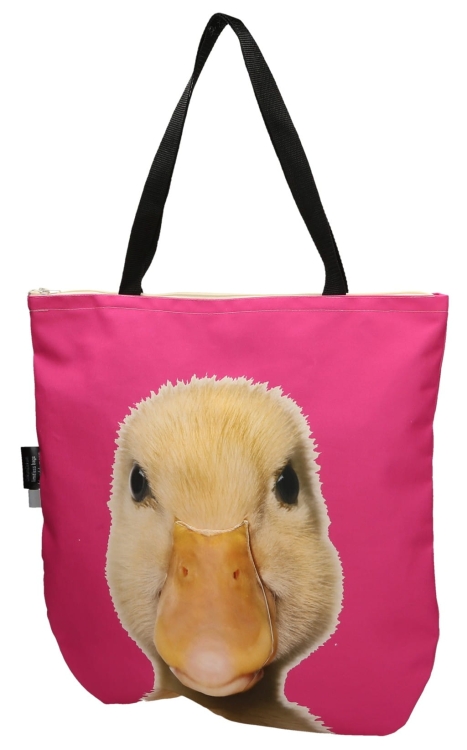 bee275a5f953cfcd3f4c01ba02e33329