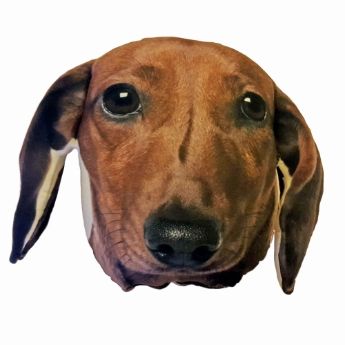 2159f3b52edfd260e150782eb59a7300