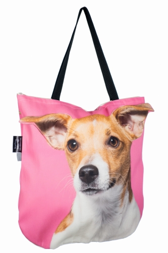 2409e7031be04194be8a633837930bdf