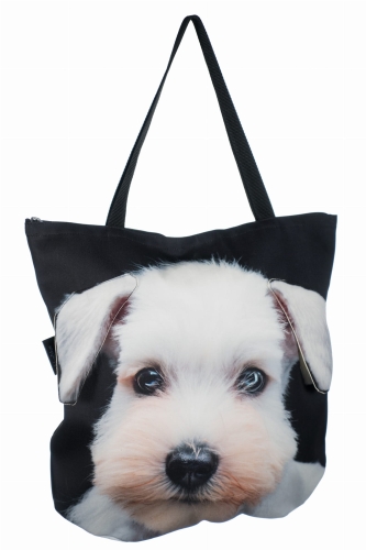 891323940b2d10f85ea2fe77f2bd56a9