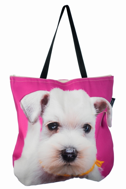 cc16cc1d3e753936c5e11dcaff416b25