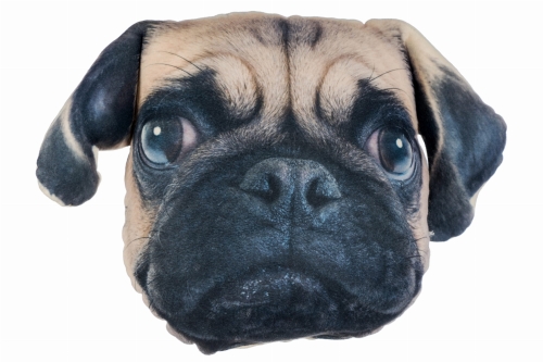 88ac037639f99f9b3d9475e29f92485b