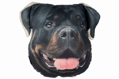 7db71170b10c7bd9d3832b6a07705819