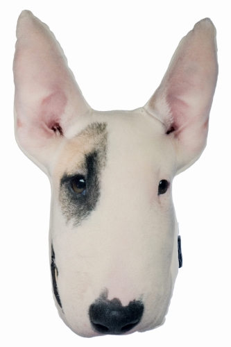 3a3679f52065decfd131fdb8a06d4262