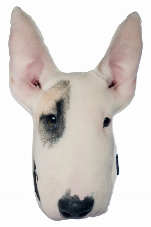 3a3679f52065decfd131fdb8a06d4262