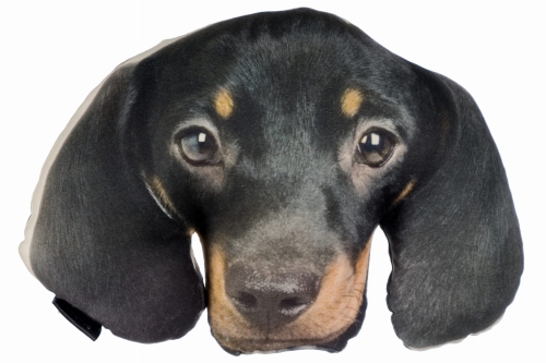 1609fa878166ada34e1ec1cfc9d1db83