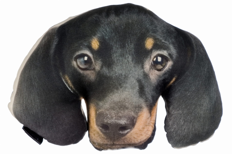 1609fa878166ada34e1ec1cfc9d1db83