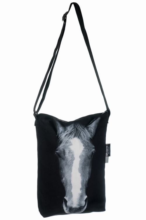 ae6cd9e952a61c98dbe9da50ca404773