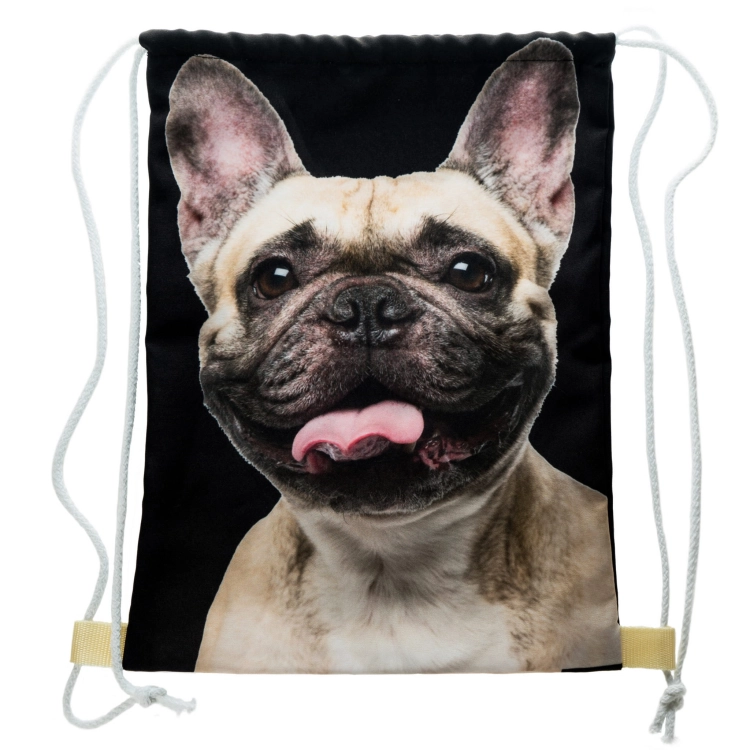 6cccf94e8008d255a3a0b8b174d62e4b