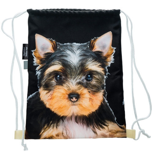 b6bd3f7bf1219d0afcff8213ca4e8964