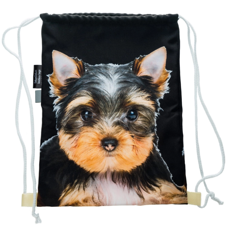 b6bd3f7bf1219d0afcff8213ca4e8964