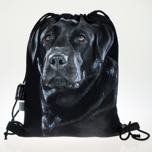 220a8f7bfa57921609830cd0c33544ab