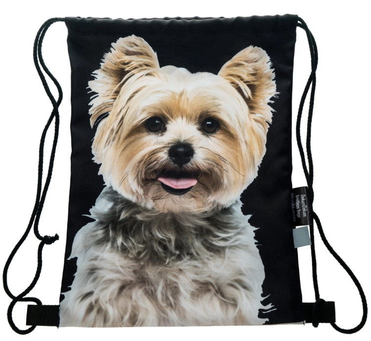 0e512dedab123cdb585d29604f0ba291